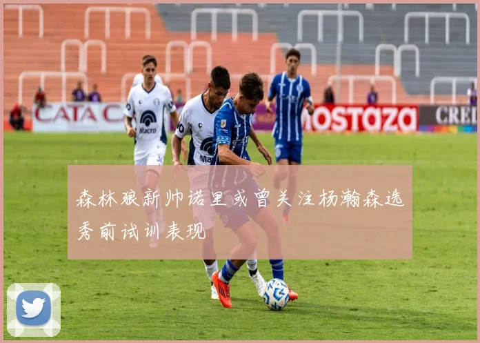 森林狼新帅诺里或曾关注杨瀚森选秀前试训表现